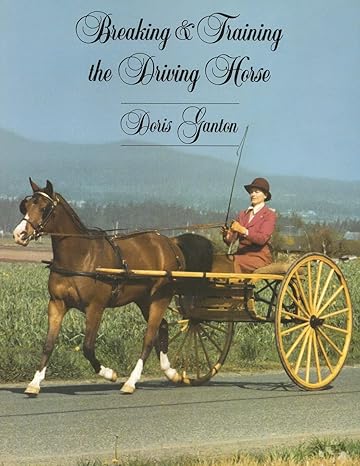 Breaking And Training The Driving Horse