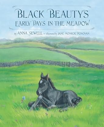 Black Beauty's Early Days in the Meadow