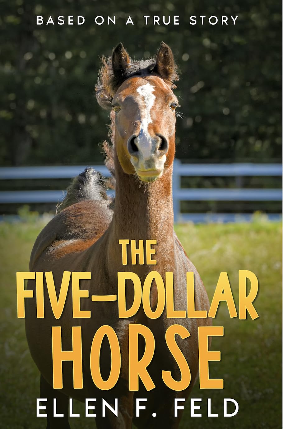 The Five-Dollar Horse (Color Picture Edition)