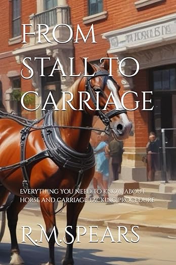 From Stall To Carriage: Everything you need to know about horse and carriage tacking procedure