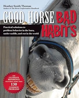 Good Horse, Bad Habits: Practical Solutions to Problem Behavior in the Barn, Under Saddle, and Out in the World