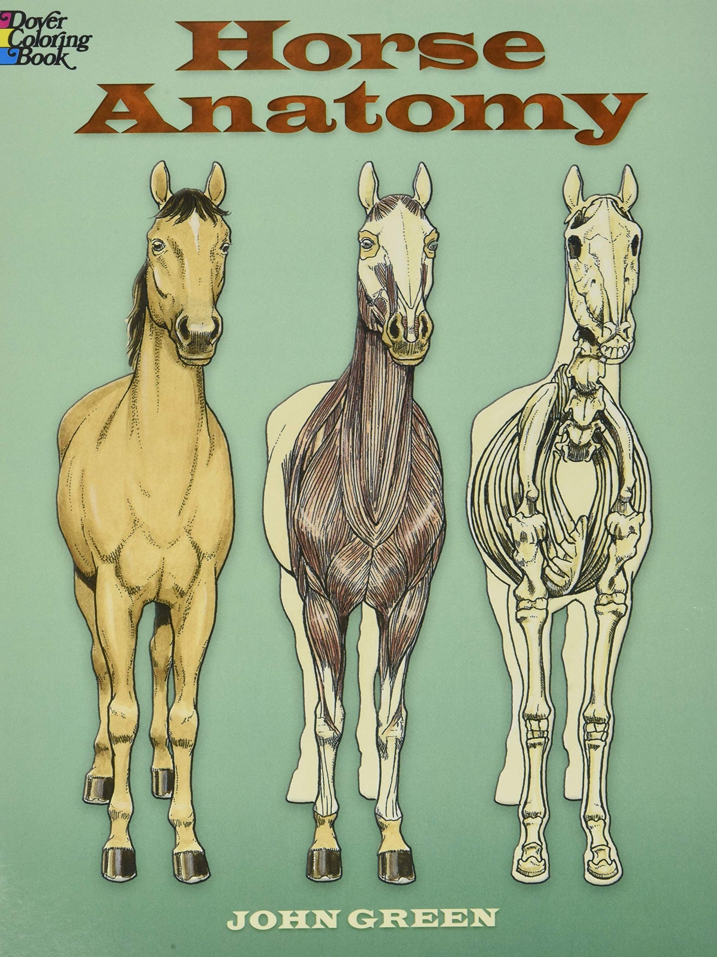 Horse Anatomy Coloring Book