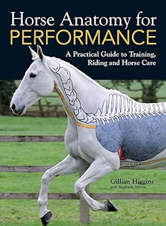 Horse Anatomy for Performance