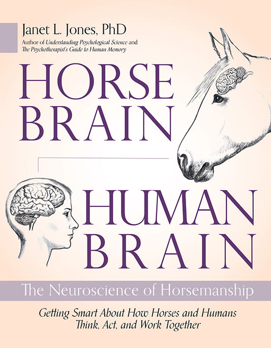 Horse Brain Human Brain