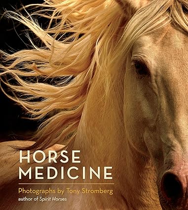 Horse Medicine