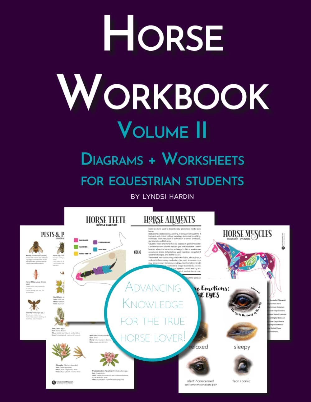 The Riding Student's Horse Workbook Volume II: Advancing Equestrian Knowledge for the True Horse Lover