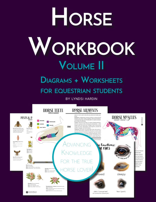 The Riding Student's Horse Workbook Volume II: Advancing Equestrian Knowledge for the True Horse Lover