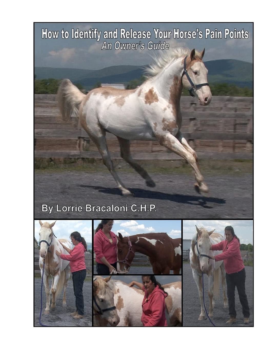 How To Identify And Release Your Horses Pain Points: An Owner's Guide