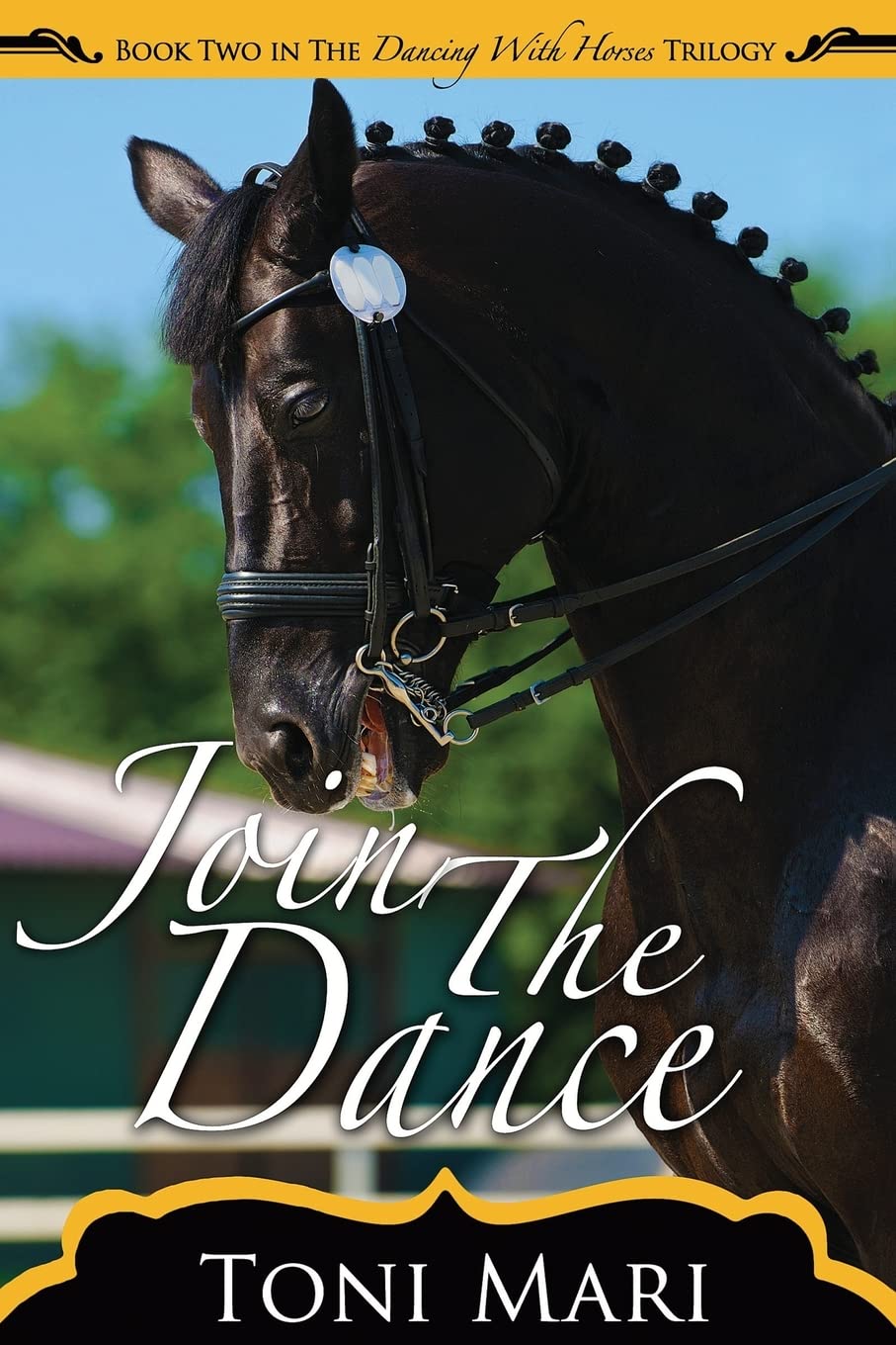 Join The Dance - Dancing With Horses Book 2
