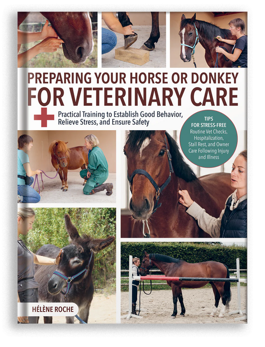 Preparing Your Horse or Donkey for Veterinary Care