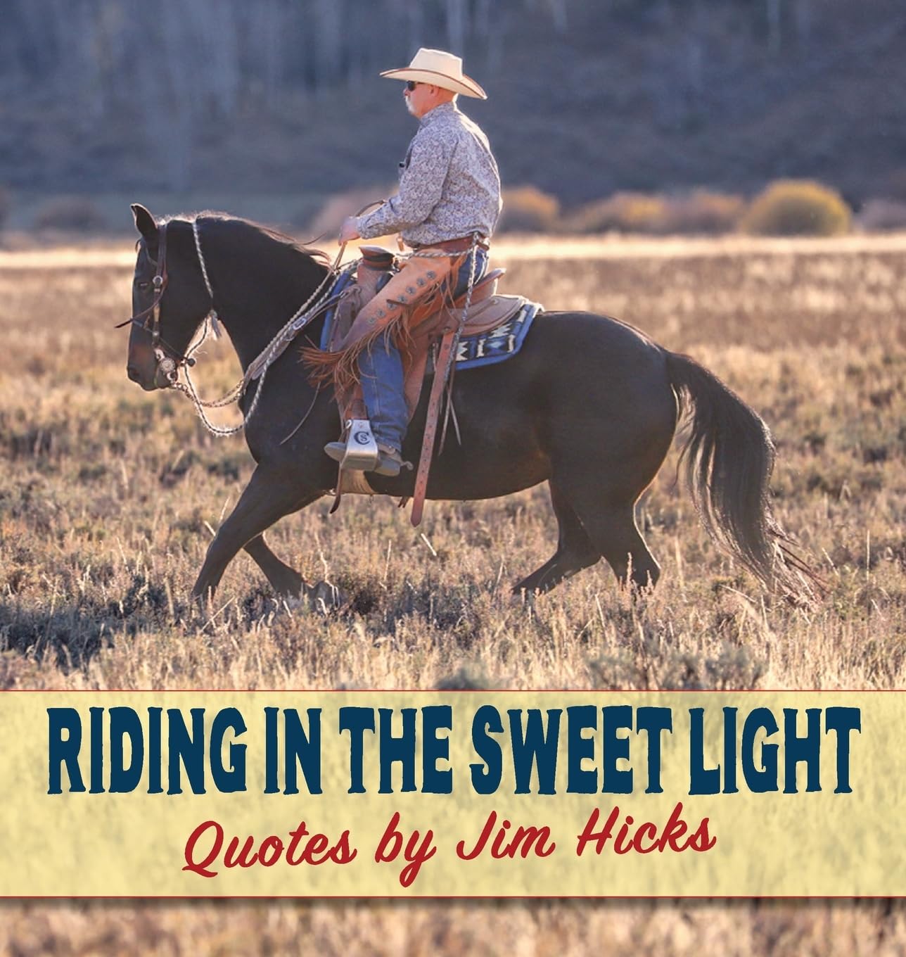 Riding in the Sweet Light - Quotes by Jim Hicks