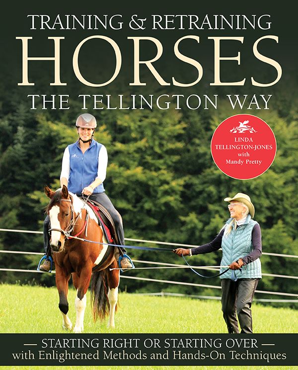 Training And Retraining Horses The Tellington Way