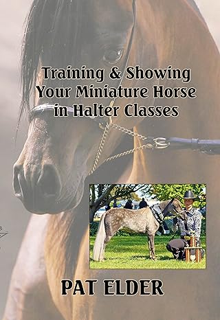 Training and Showing Your Miniature Horse in Halter Classes