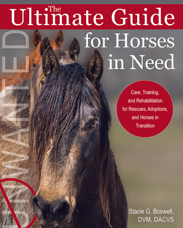 The Ultimate Guide for Horses in Need