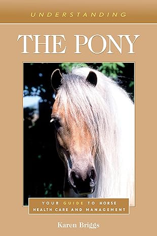 Understanding The Pony