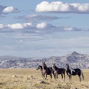 The Wild Horse Effect: Awe, Well-Being, and the Transformative Power of Nature