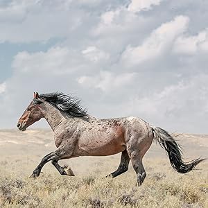 The Wild Horse Effect: Awe, Well-Being, and the Transformative Power of Nature