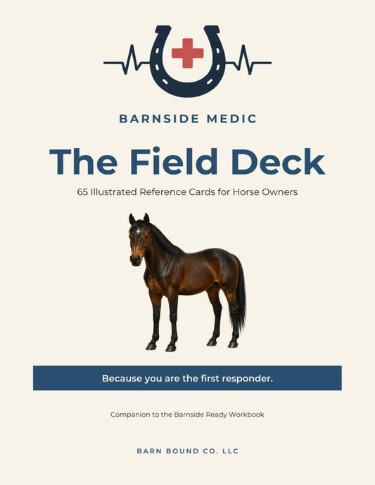 Barnside Medic: A Guided Emergency Preparedness Program for Horse Owners