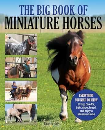 The Big Book of Miniature Horses: Everything You Need to Know to Buy, Care for, Train, Show, Breed, and Enjoy a Miniature Horse of Your Own