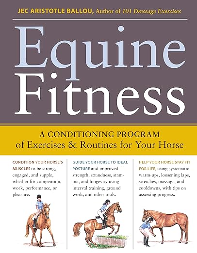 Equine Fitness