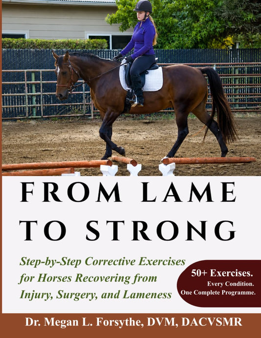 From Lame to Strong: Step-by-Step Corrective Exercises for Horses Recovering from Injury, Surgery, and Lameness