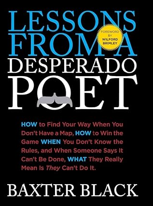 Lessons From A Desporado Poet