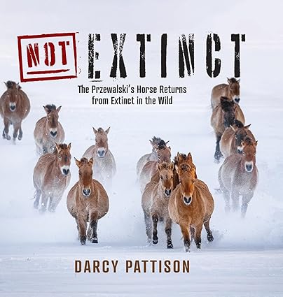 NOT Extinct: The Przewalski's Horse Returns from Extinct in the Wild