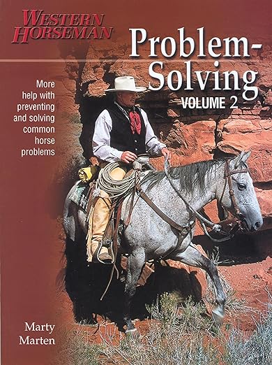 Problem Solving Volume 2