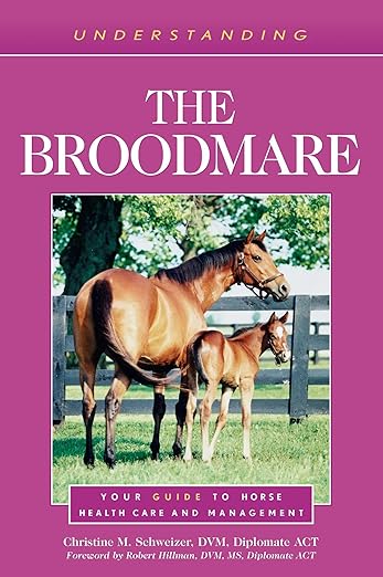 Understanding the Broodmare