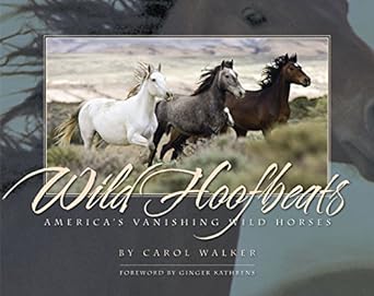 Wild Hoofbeats: America's Vanishing Wild Horses