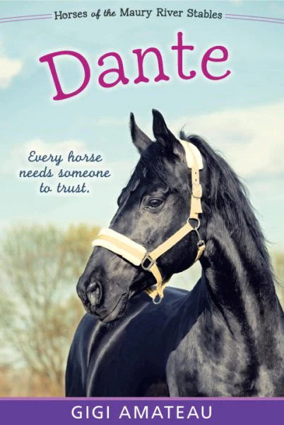 Dante - Horses of the Maury River Stables