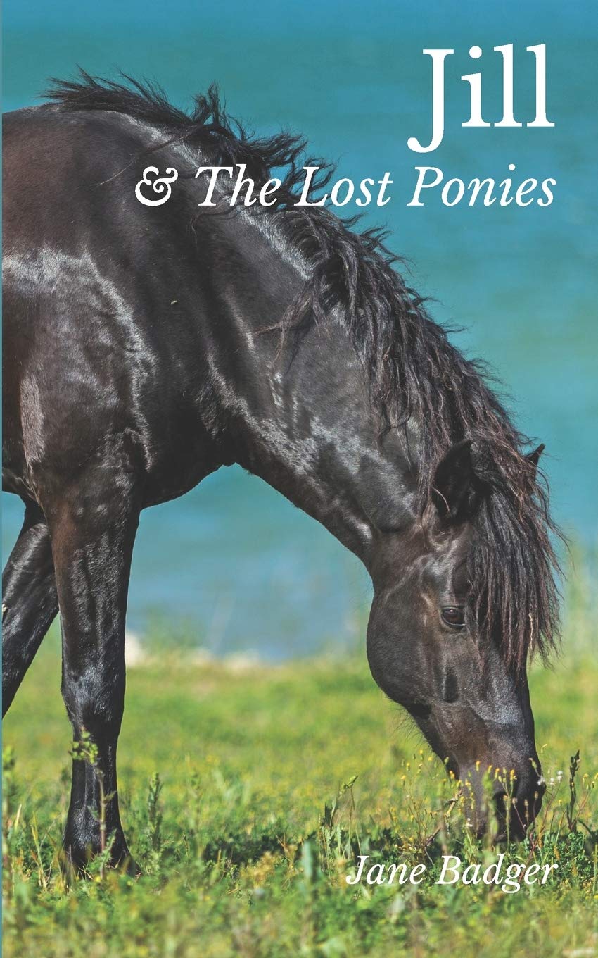 Jill & The Lost Ponies (The Jill Crewe Stories #1)