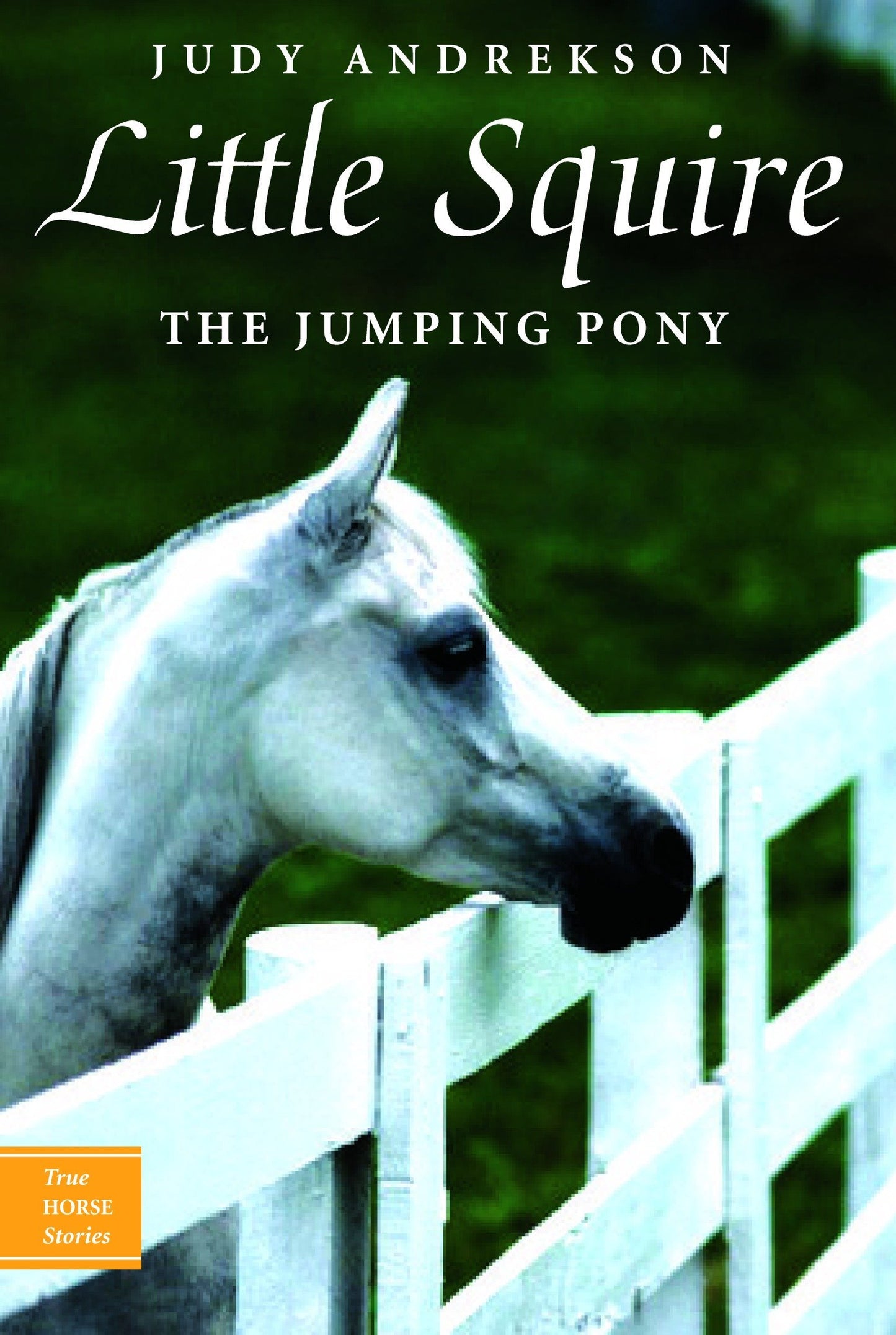 Little Squire: The Jumping Pony (True Horse Stories Series)