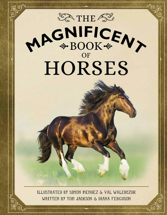 Magnificent Book Of Horses