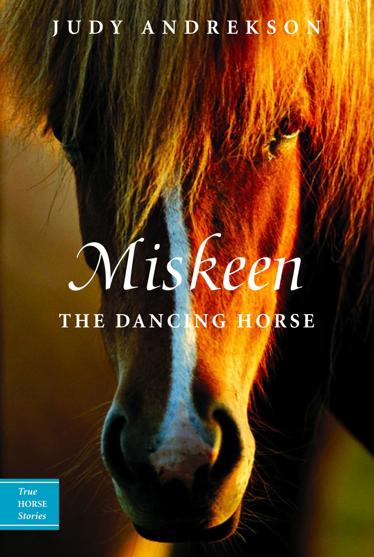 Miskeen: The Dancing Horse (True Horse Stories Series)