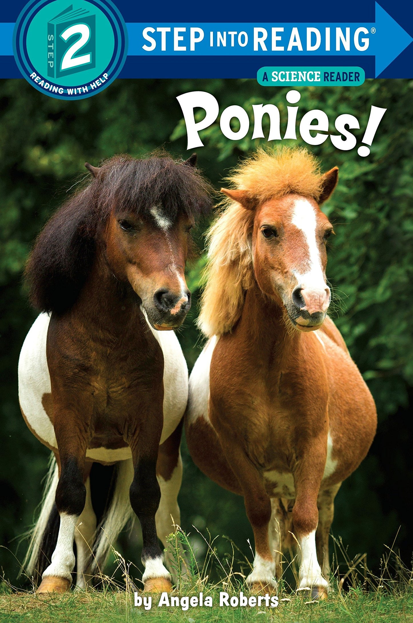 Ponies! (Step into Reading)