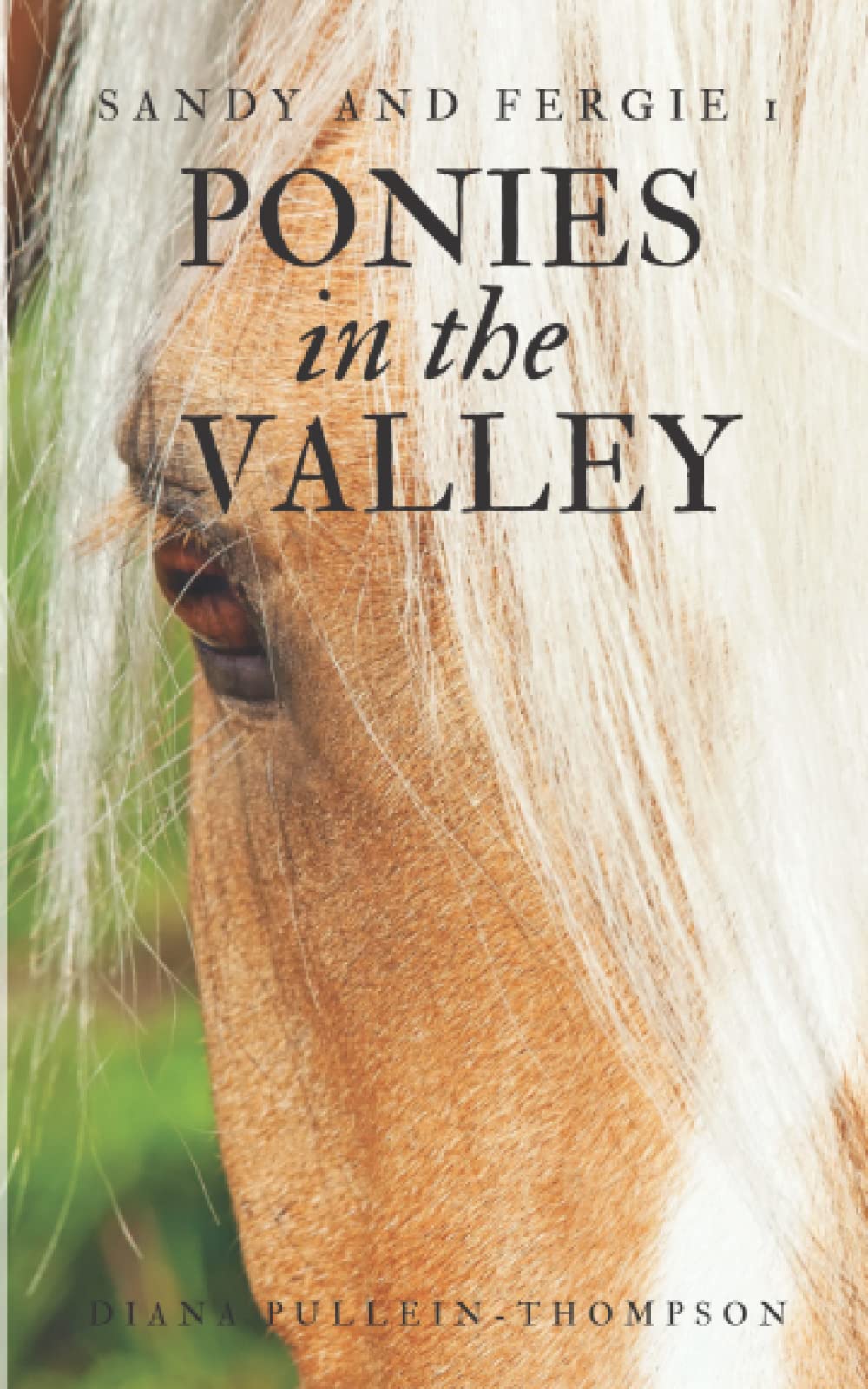 Ponies in the Valley (Sandy and Fergus Series - Book #1)