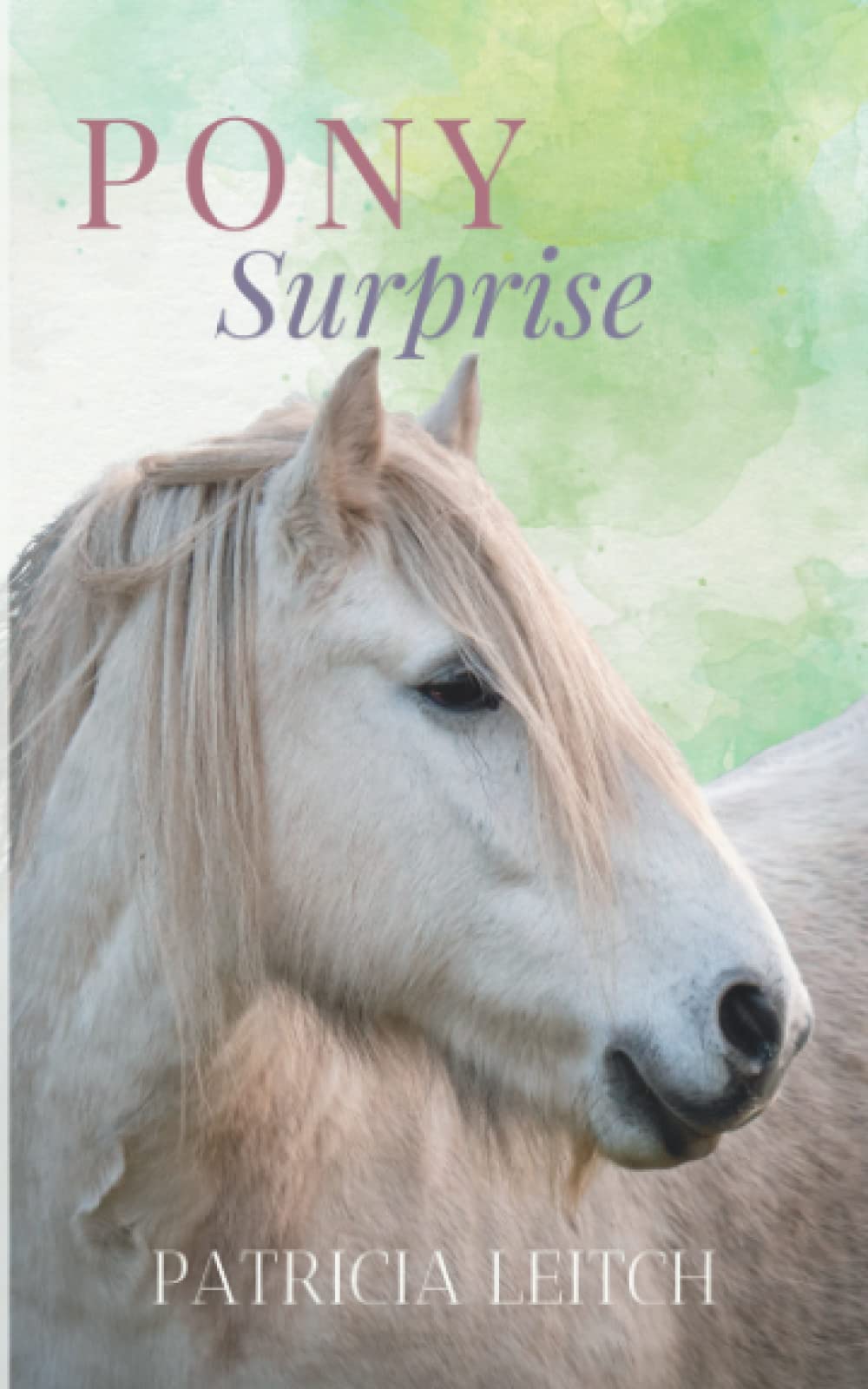 Pony Surprise