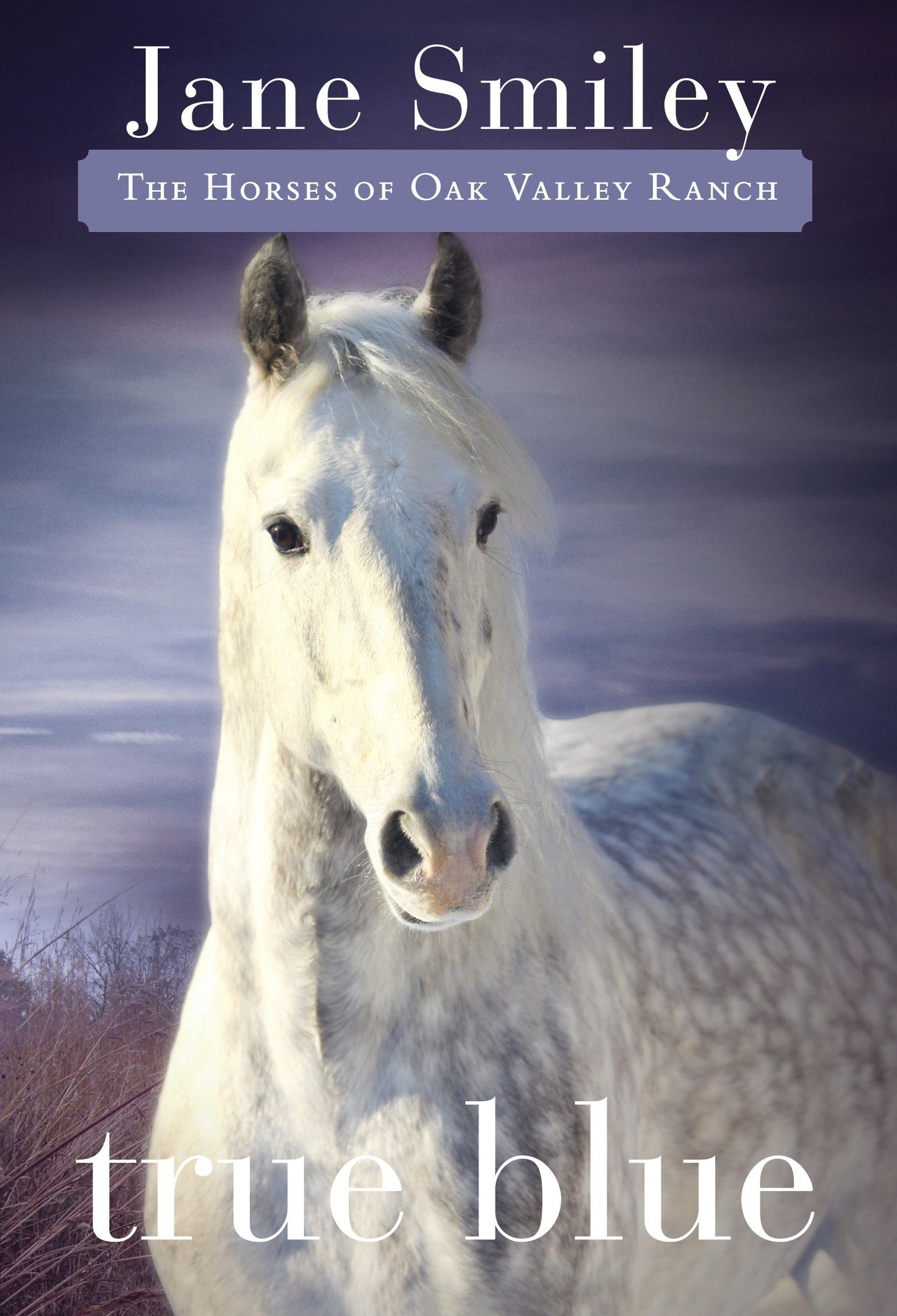 True Blue - Book Three of the Horses of Oak Valley Ranch