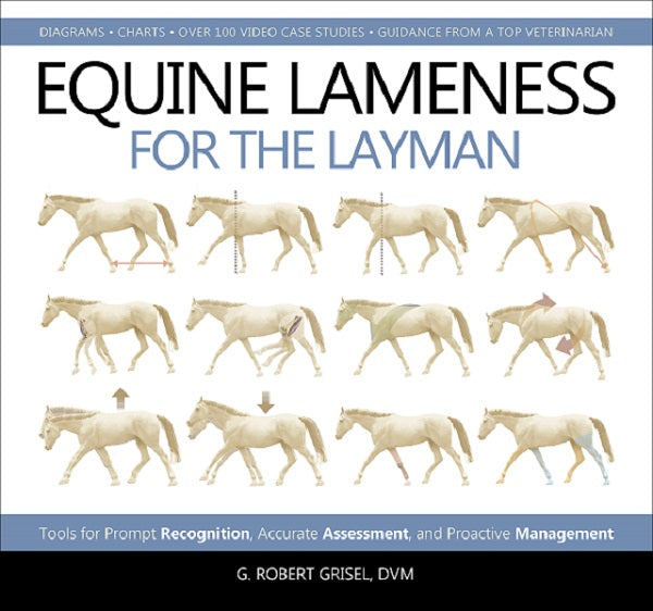 Equine Lameness For The Layman